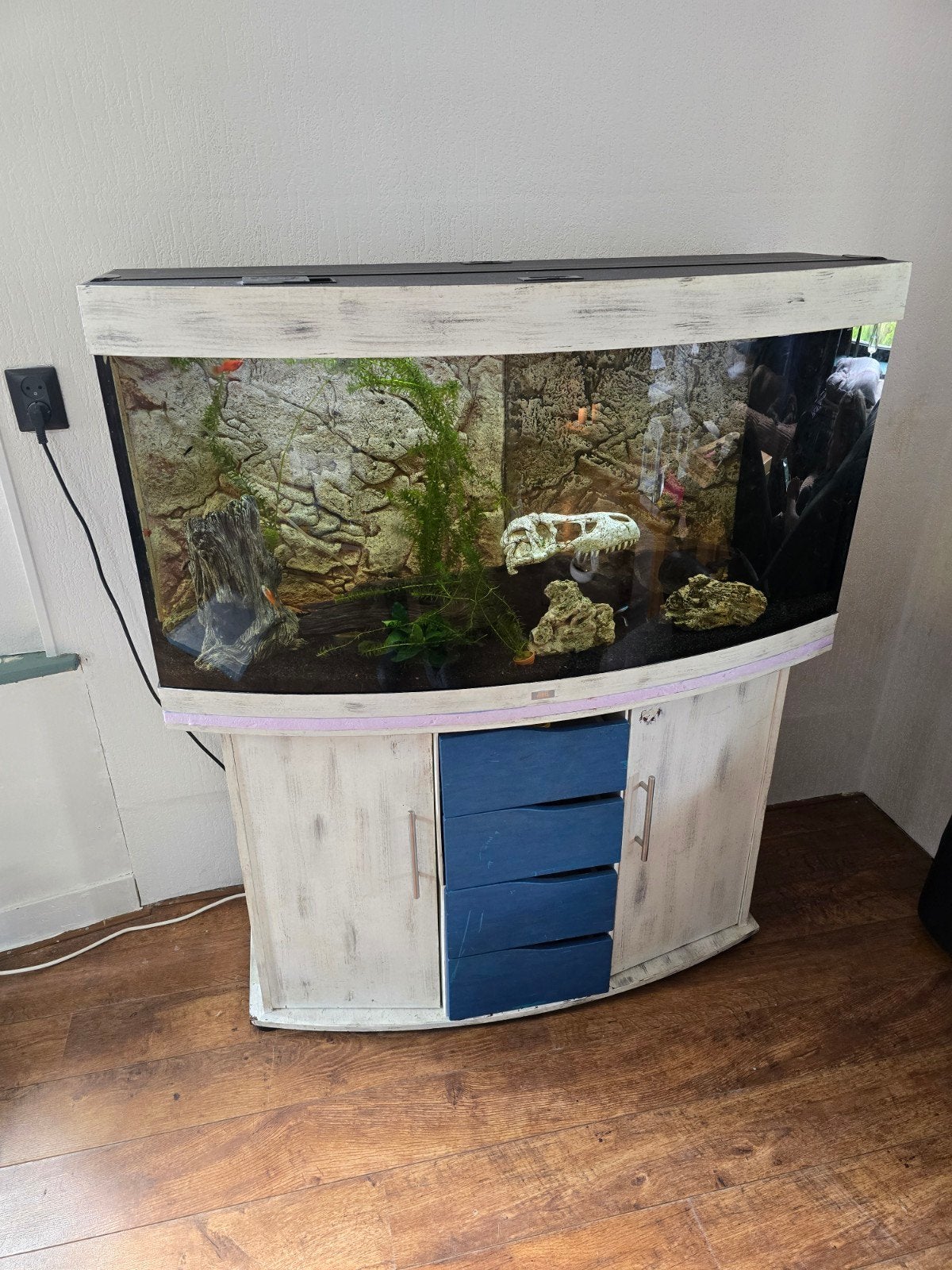 Juwel 260 aquarium met vissen, Ophalen, Gebruikt, Inclusief toebehoren, Gevuld zoetwateraquarium