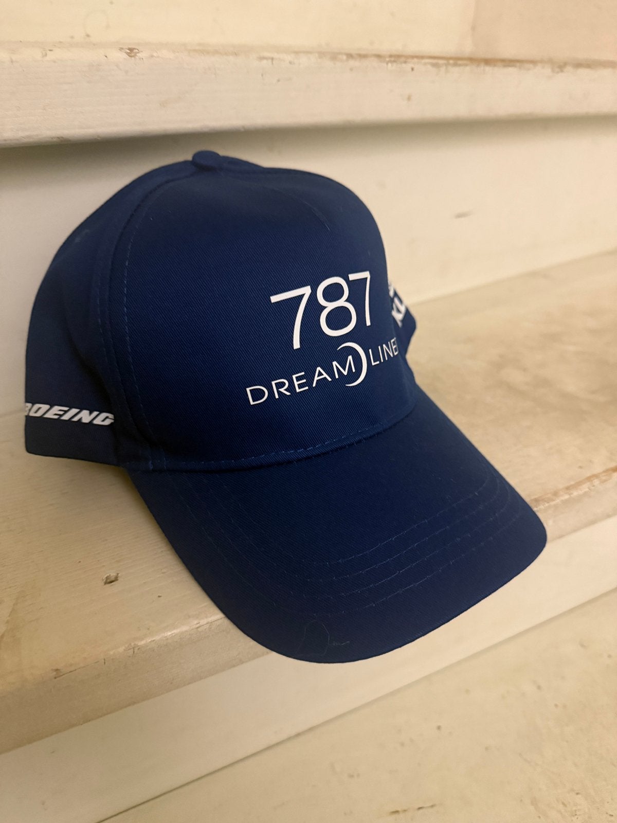2 KLM BOEING 787 PET, Ophalen, Nieuw, One size fits all, Pet