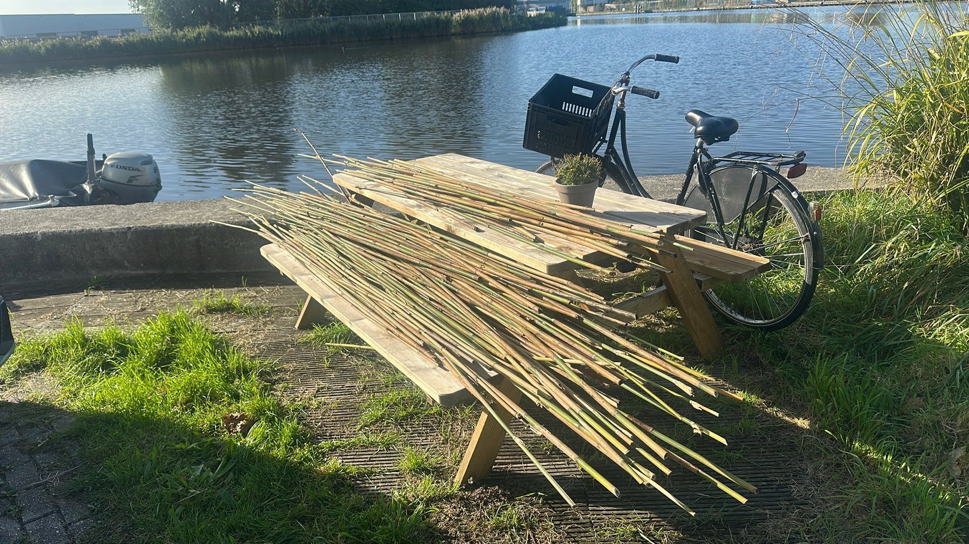 Bamboestokken, Ophalen, Gebruikt, Palen