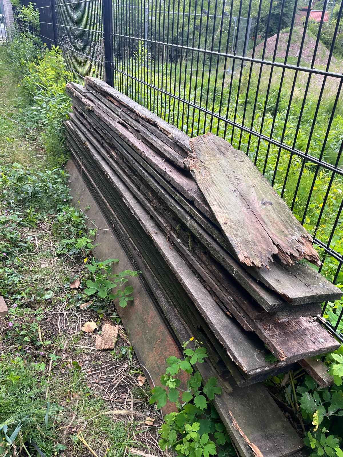 Gratis douglas hout, Ophalen, Gebruikt, 25 tot 50 mm, Plank