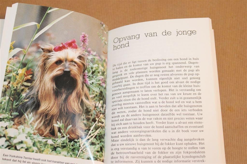 Yorkshire Terrier — Ras & Tips [1985], Ophalen of Verzenden, Zo goed als nieuw, Honden
