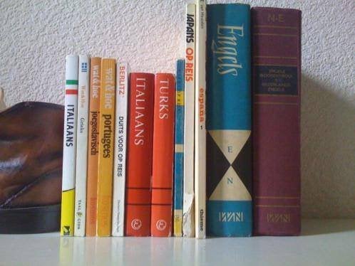 12 buiteenlandse woordenboeken, Boeken, Ophalen of Verzenden, Zo goed als nieuw
