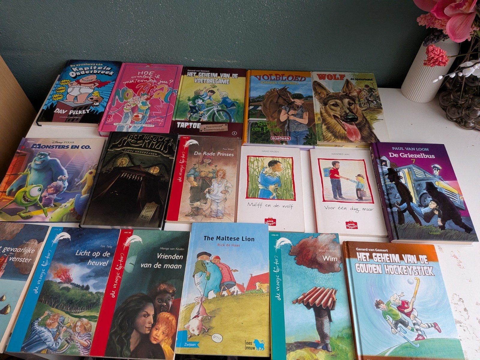 kinderboeken/volwassen boeken, Boeken, Ophalen, 3 tot 4 jaar