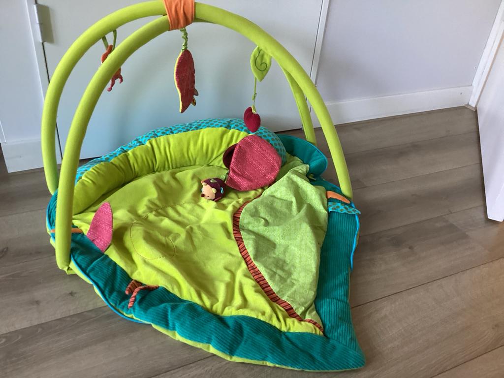 Vrolijk Speelkleed lillieputiens met Babygym, Ophalen of Verzenden, Zo goed als nieuw, Speelkleed