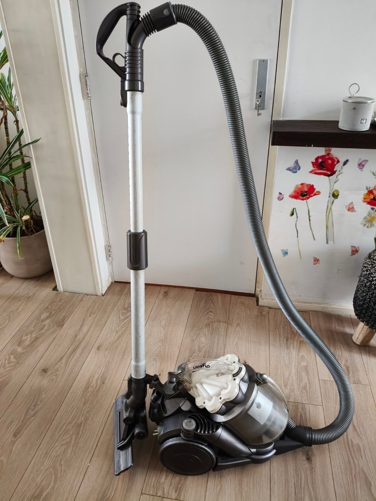 Dyson DC19, Ophalen of Verzenden, Dyson