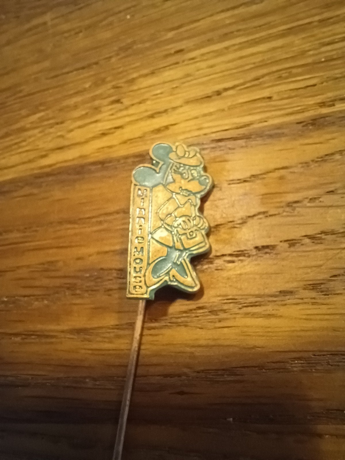 Speldje Minnie Mouse (groen), Verzamelen, Ophalen, Gebruikt, Overige onderwerpen, Speldje of Pin