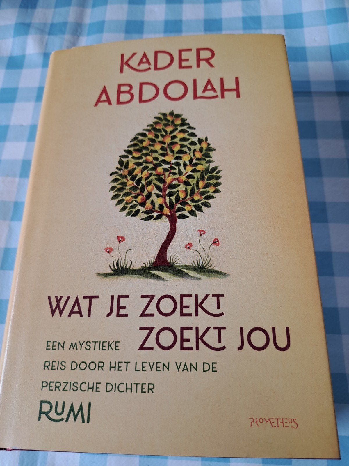 B1: Kader Abdolah - Wat je zoekt zoekt jou, Boeken, Esoterie en Spiritualiteit, Achtergrond en Informatie, Spiritualiteit algemeen