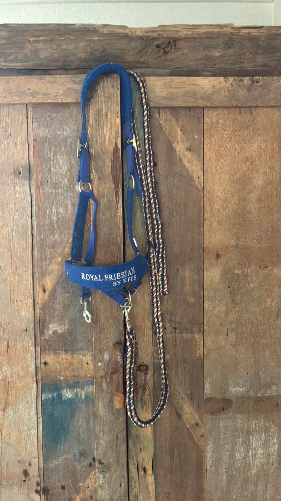Halster full Royal Frisian by KFPS, Ophalen, Gebruikt, Halster, Full