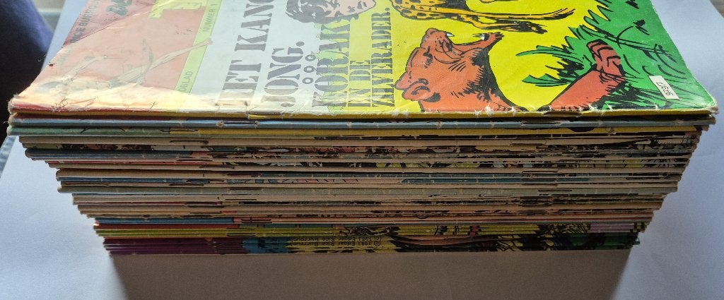 Zoon van Tarzan | 39 comics | in 1 koop | 1979-1983, Europa, Ophalen of Verzenden, Zo goed als nieuw, Meerdere comics