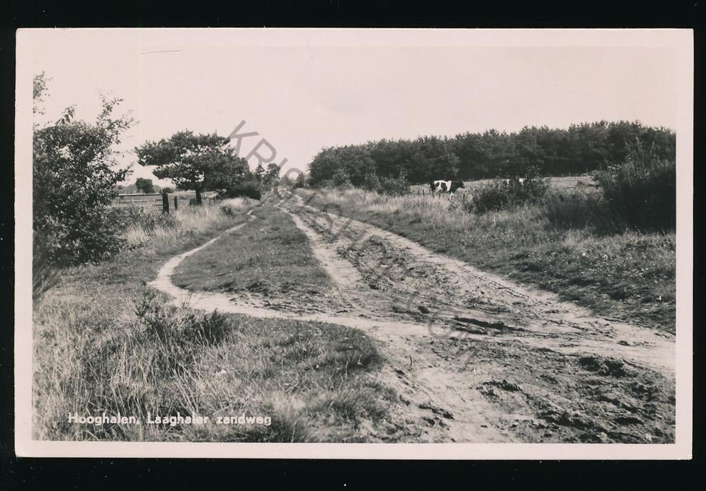 Hooghalen - Laaghaler zandweg [003-5338, Verzenden, 1940 tot 1960, Ongelopen, Drenthe
