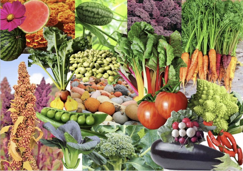 Moestuin zaden, groenten, bloemen en kruiden (BIO), Verzenden, Zaad