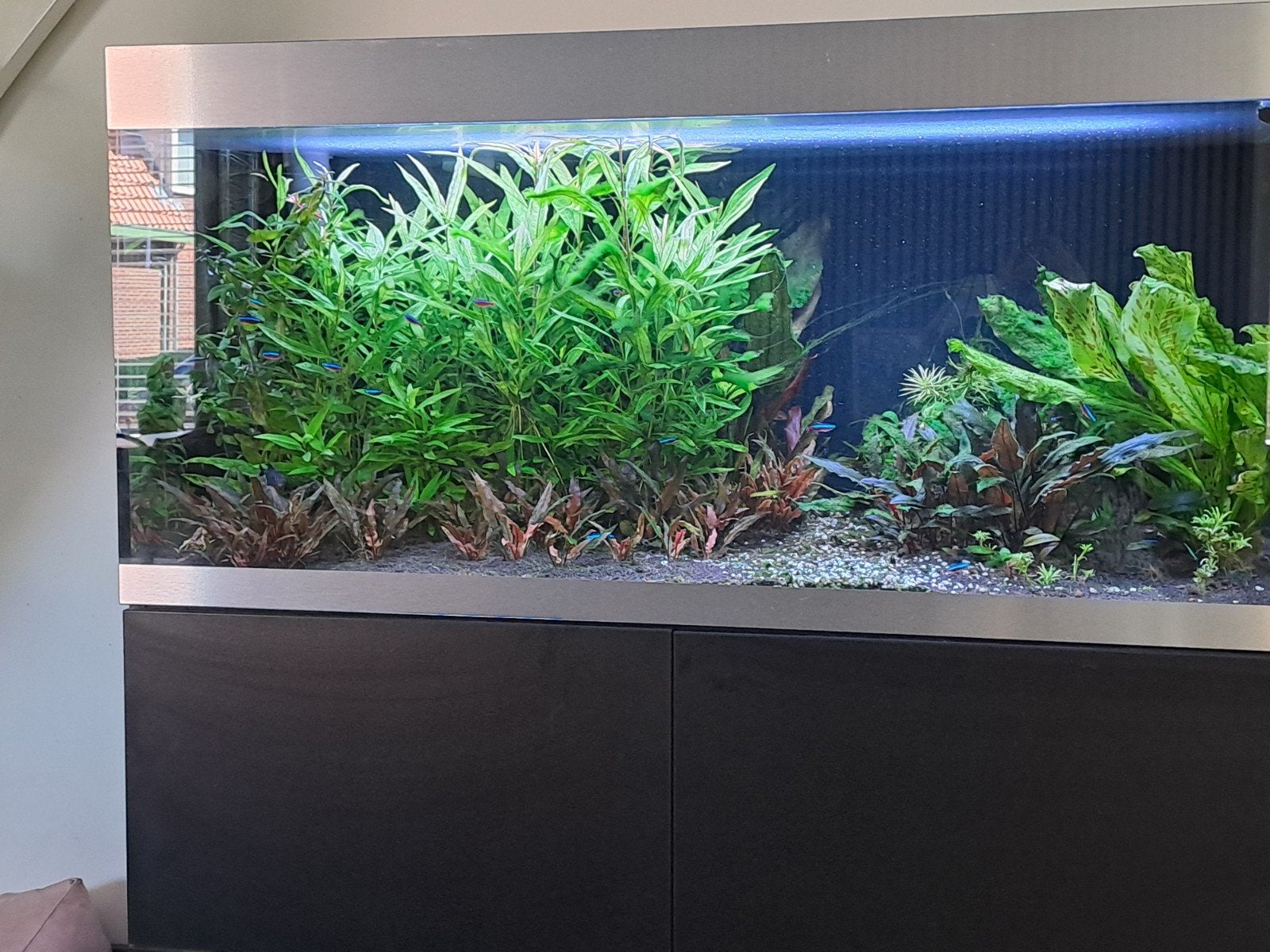 compleet aquarium merk oase, Ophalen, Zo goed als nieuw
