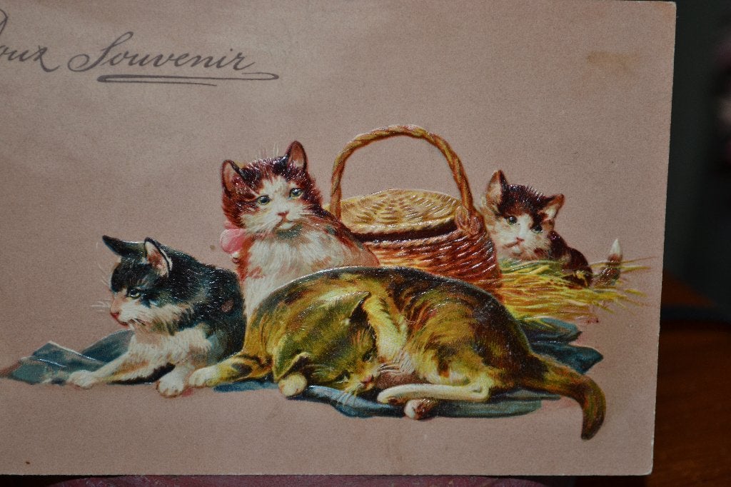 FRANKRIJK RELIEF 1908 POES KITTENS MAND EN STRO, Ophalen of Verzenden, Voor 1920, Gelopen, Sterren en Beroemdheden