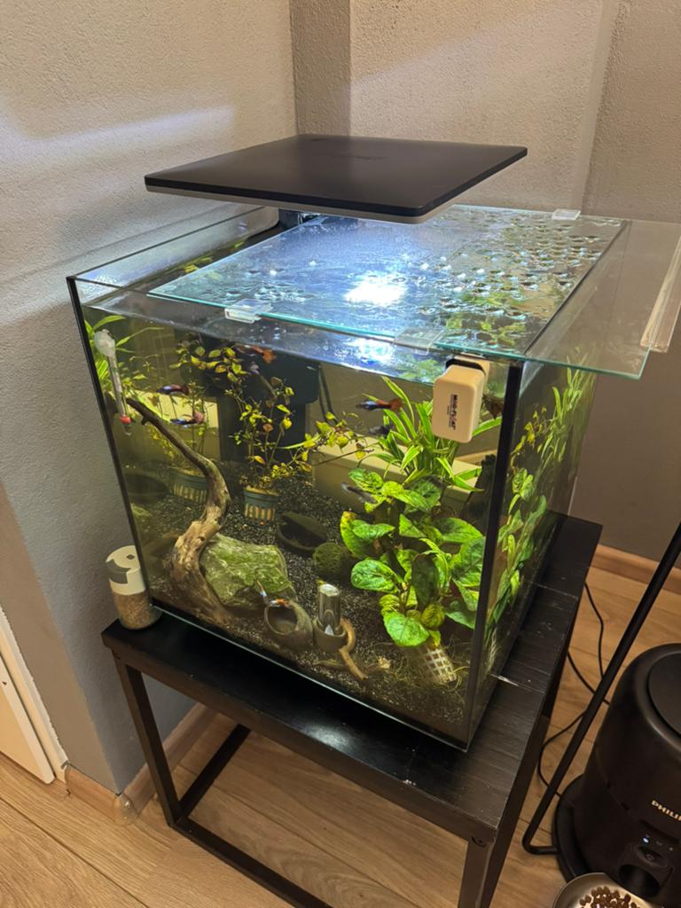 SuperFish aquarium QubiQ 60 Pro zwart 60 L, Ophalen, Inclusief toebehoren, Superfish, Gevuld zoetwateraquarium