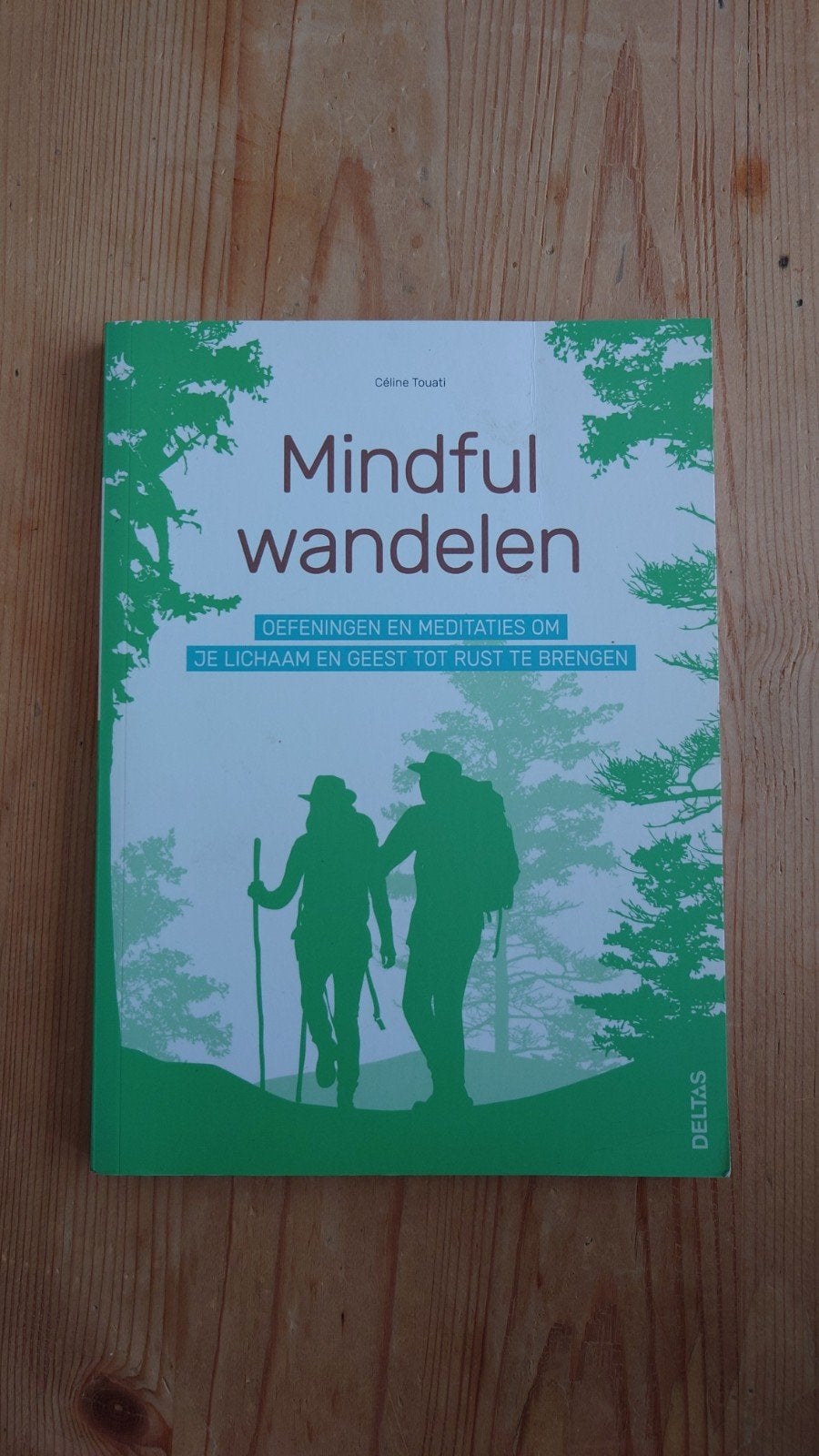 Celine Touati - Mindful wandelen, Boeken, Meditatie of Yoga, Ophalen of Verzenden, Zo goed als nieuw, Celine Touati