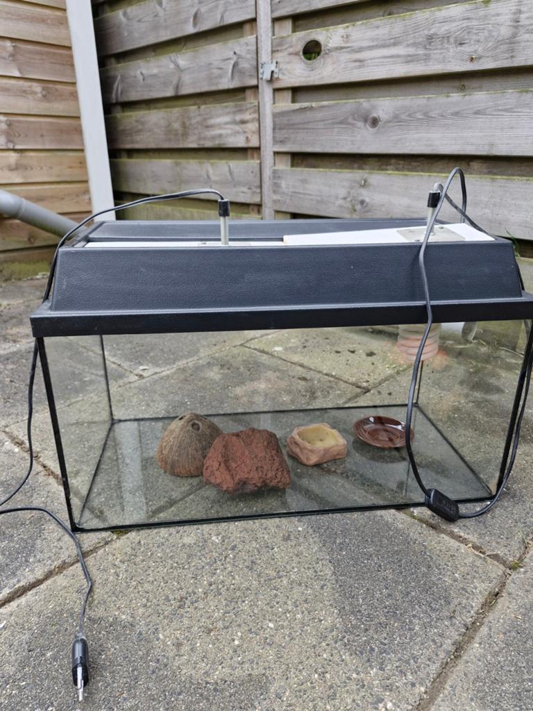 bearded dragon tank, Dieren en Toebehoren, Ophalen of Verzenden, Hout, Vogelkooi