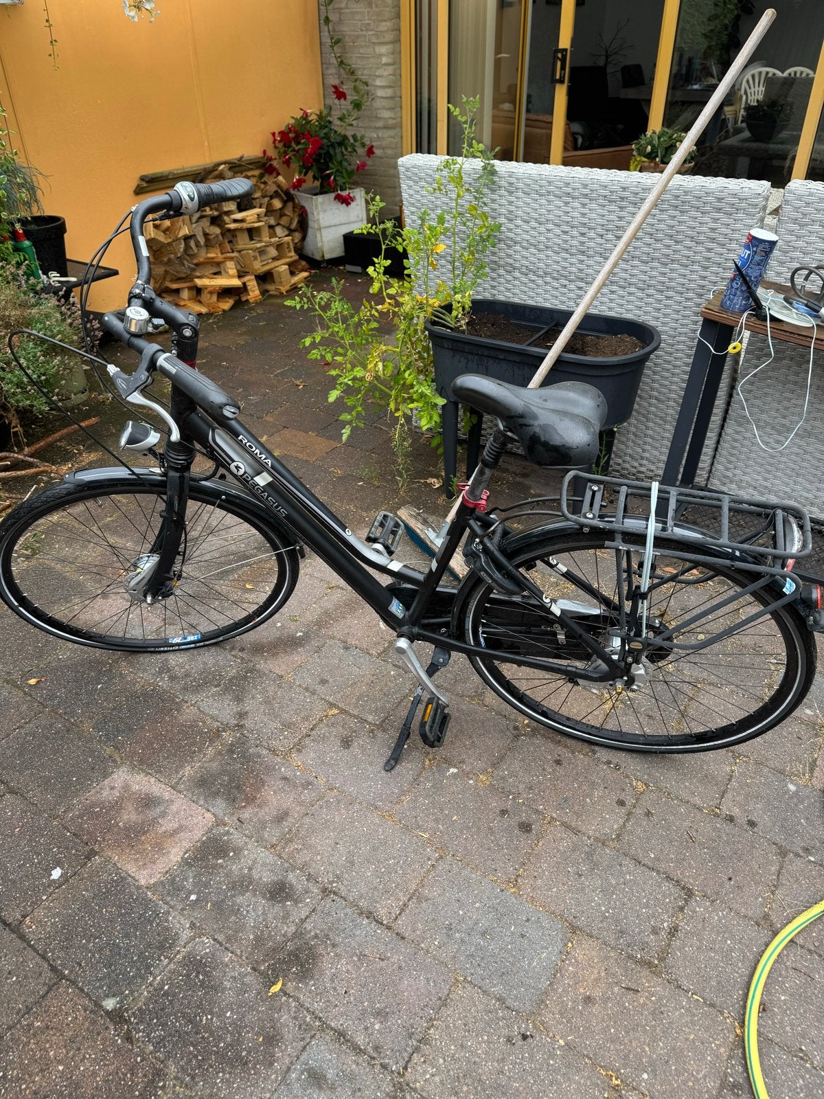 Pegasus Roma damesfiets met lage instap en versnellingen, Fietsen en Brommers, Fietsen | Dames | Damesfietsen, Velgrem, 50 tot 53 cm