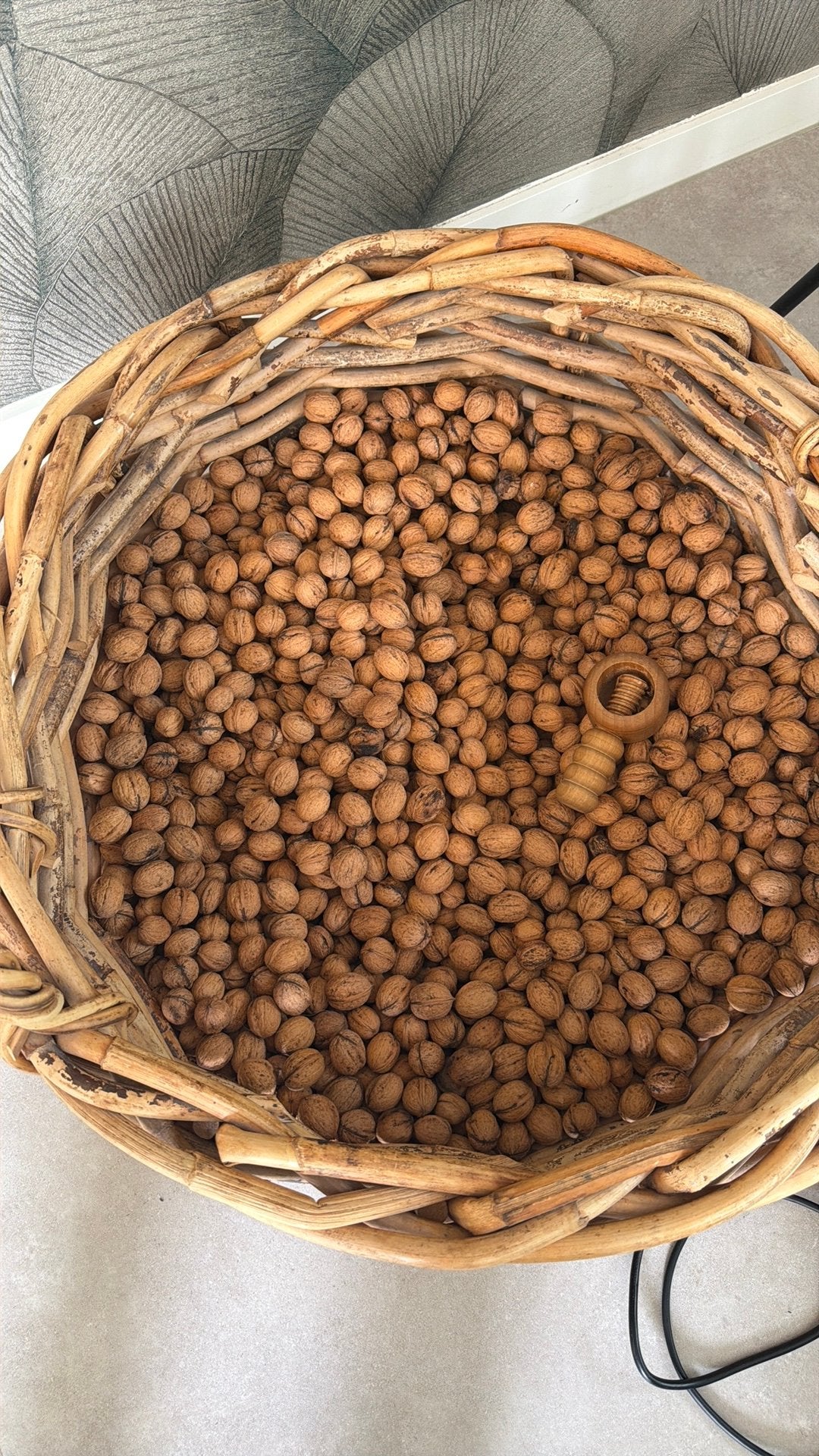 Walnoten uit eigen boomgaard – €3 per kilo, Ophalen