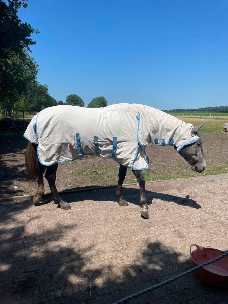 Eczeemdeken, Gebruikt, Overige merken, Eczeemdeken, Overige maten