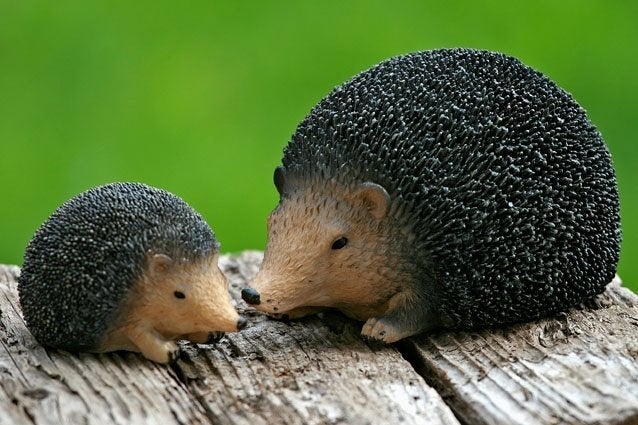 Levensecht beeld : mooie, grote Egel, Tuin en Terras, Tuinbeelden, Ophalen of Verzenden, Nieuw, Kunststof, Dierenbeeld