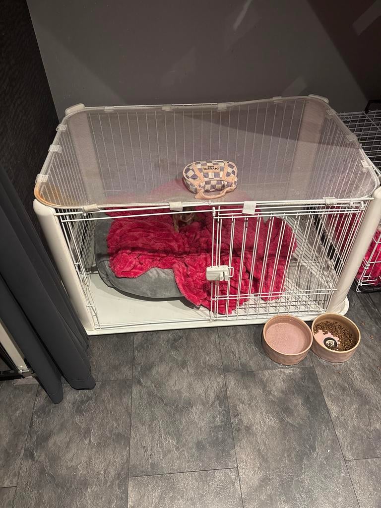 Puppy ren geoot formaat bens, Ophalen of Verzenden, 110 cm of meer