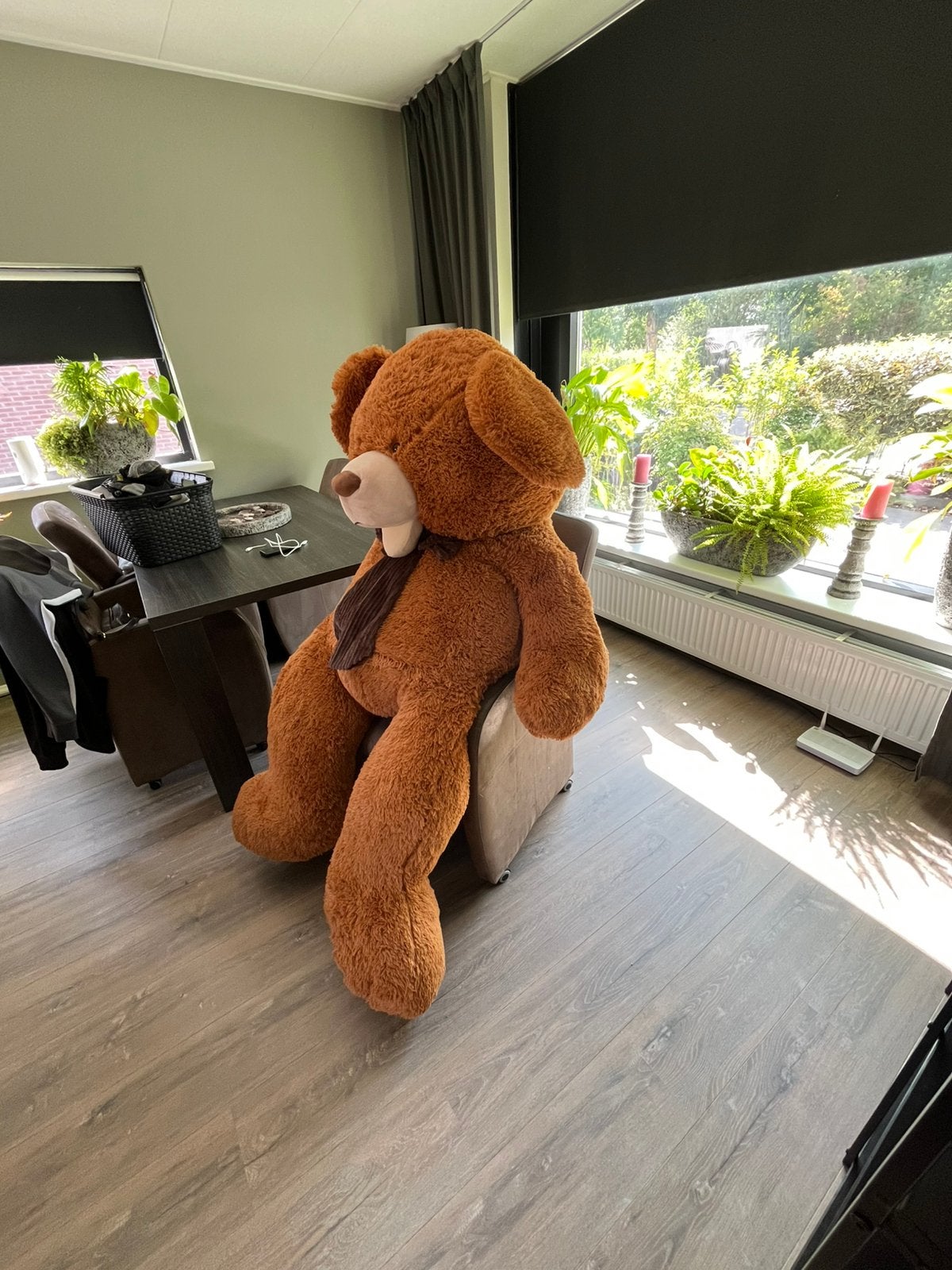 Grote teddy beer van ongeveer 2 meter, Ophalen of Verzenden, Nieuw, Beer