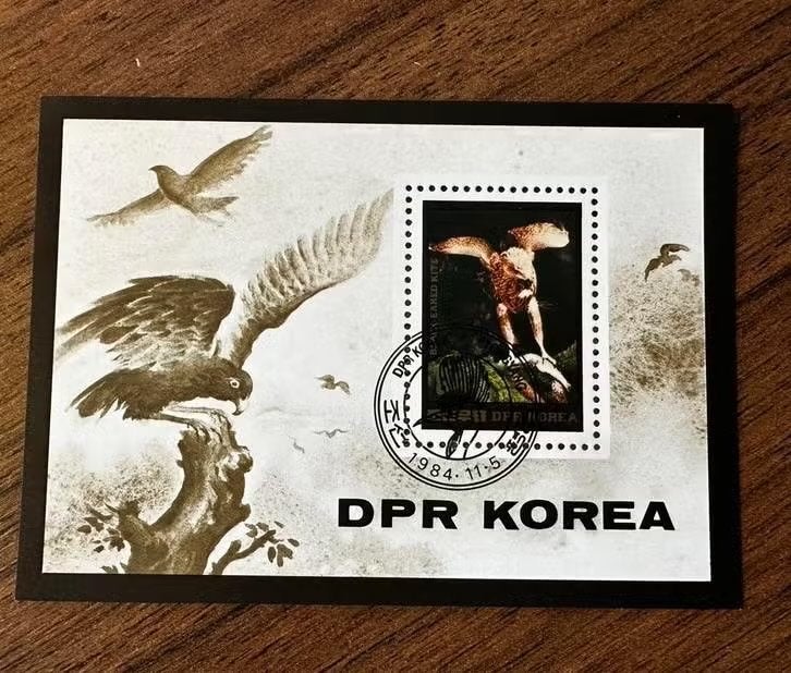 Noord-Korea 1984 - Vogels (Zwarte Wouw) - Gestempeld, Ophalen of Verzenden, Gestempeld