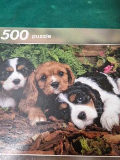 legpuzzel puppy's 500 stukjes, Ophalen of Verzenden, 'T Olde Gre-j, Info@toldegrej.nl, Endepoelstraat 20f Didam