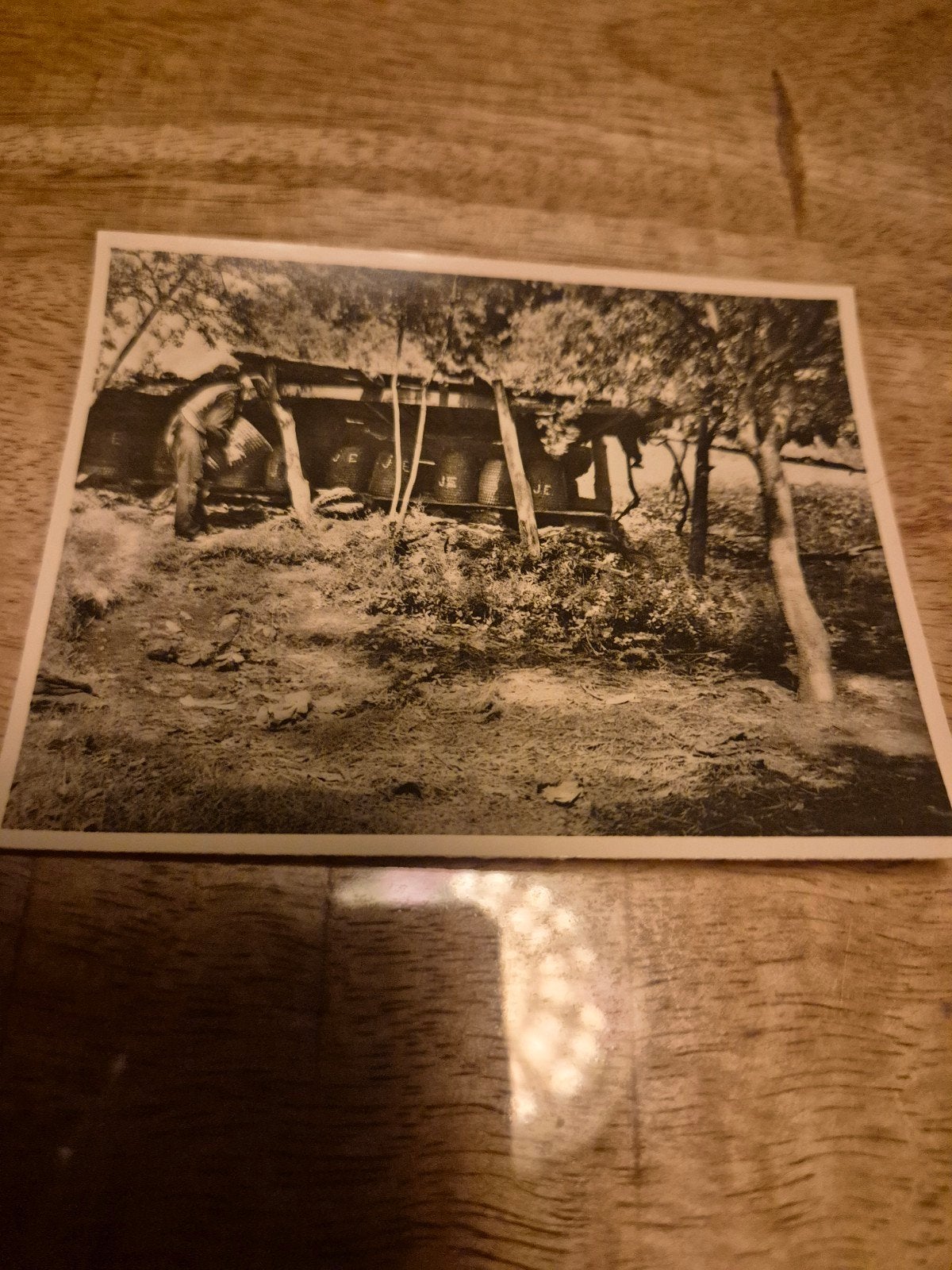Oude foto: Man bezig met bijenkorven, Verzamelen, Ophalen of Verzenden