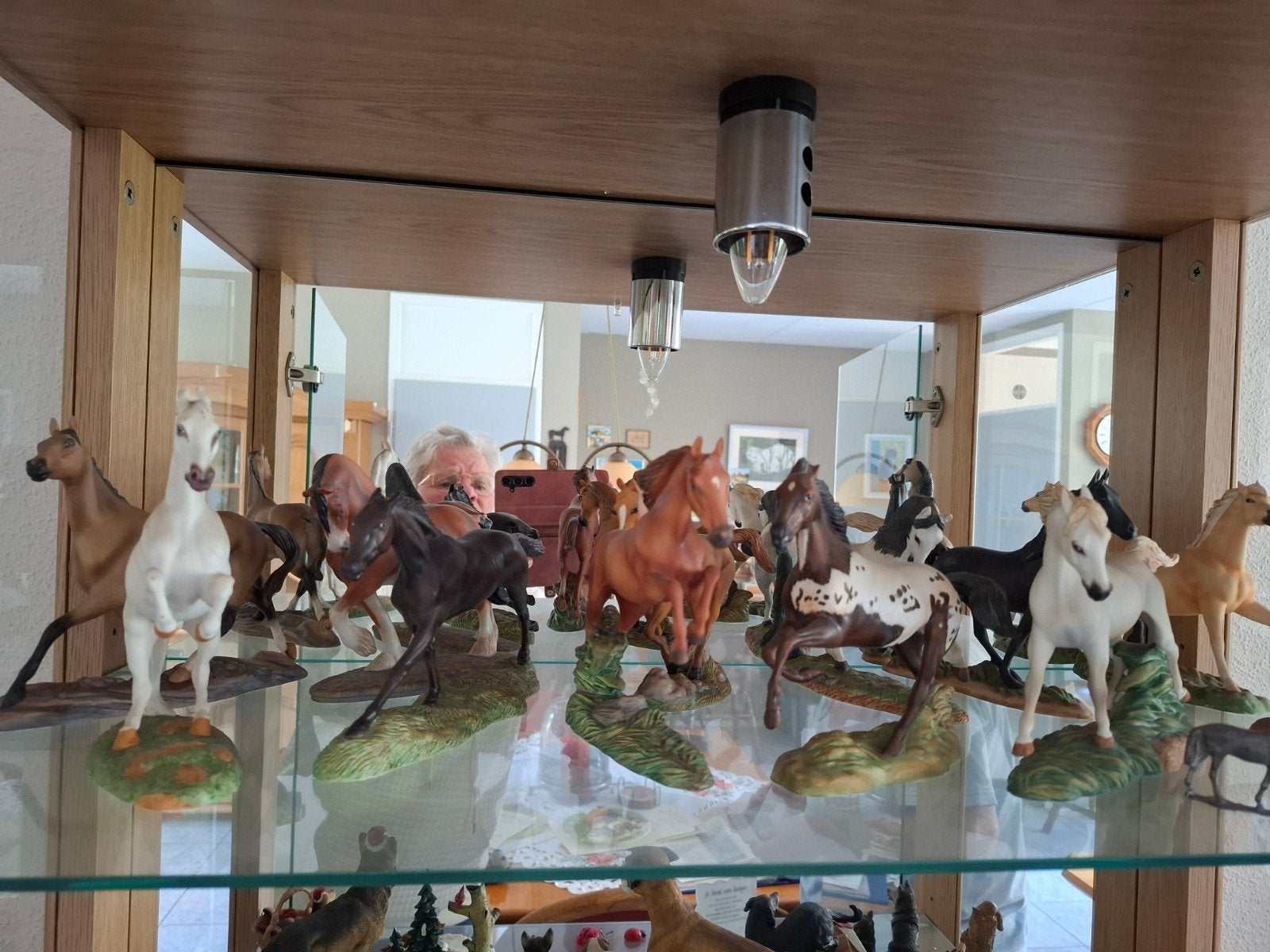 paarden, Ophalen, Zo goed als nieuw, Paard, Beeldje of Figuurtje