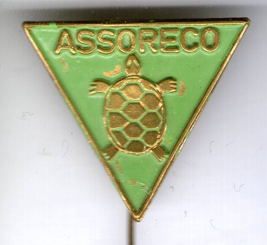 Assoreco groen op koper schildpad speldje ( U_544), Verzamelen, Verzenden, Zo goed als nieuw, Merk, Speldje of Pin