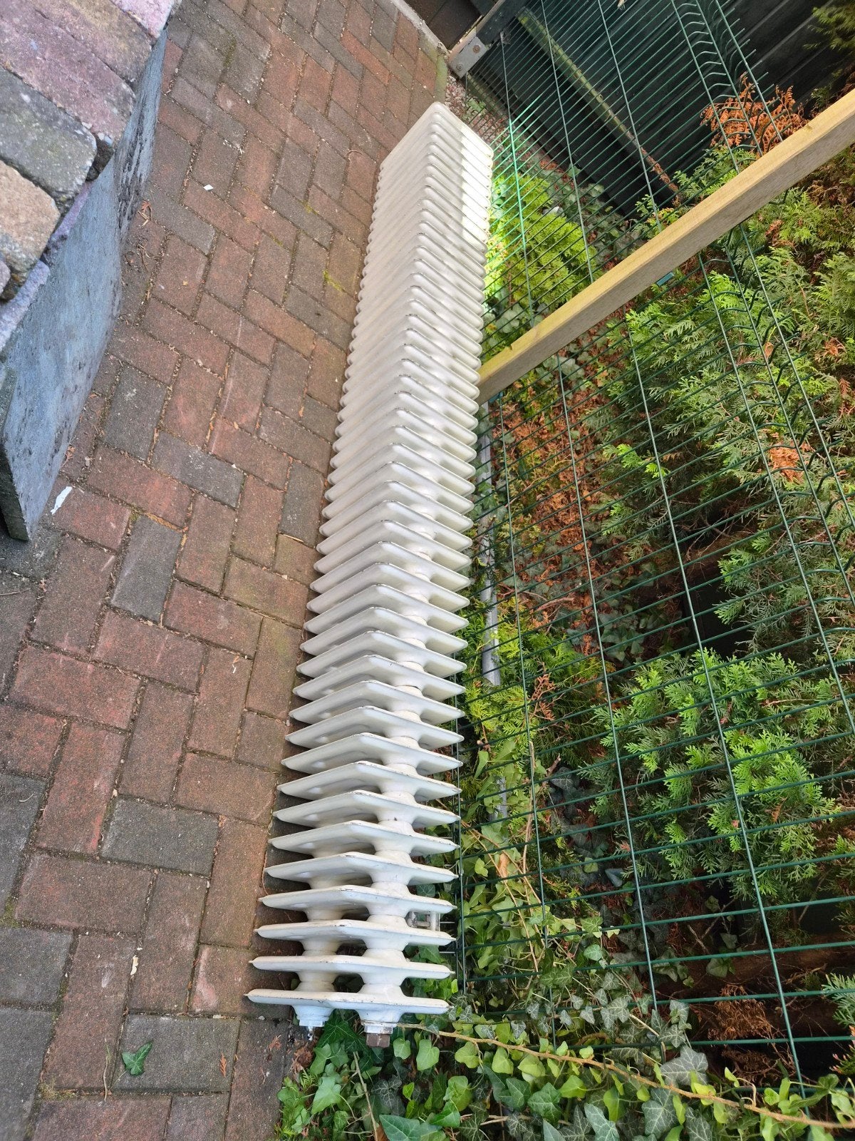 Gietijzeren radiator, Ophalen, 30 tot 80 cm, Gebruikt, Radiator