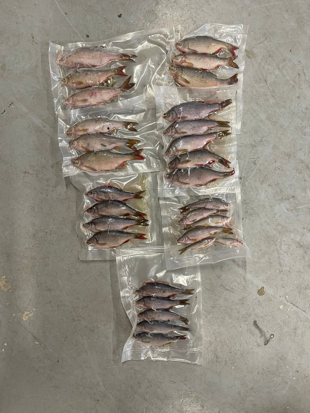Doodaas in verschillende maten - 20cm zakjes, Ophalen, Nieuw, Overige typen