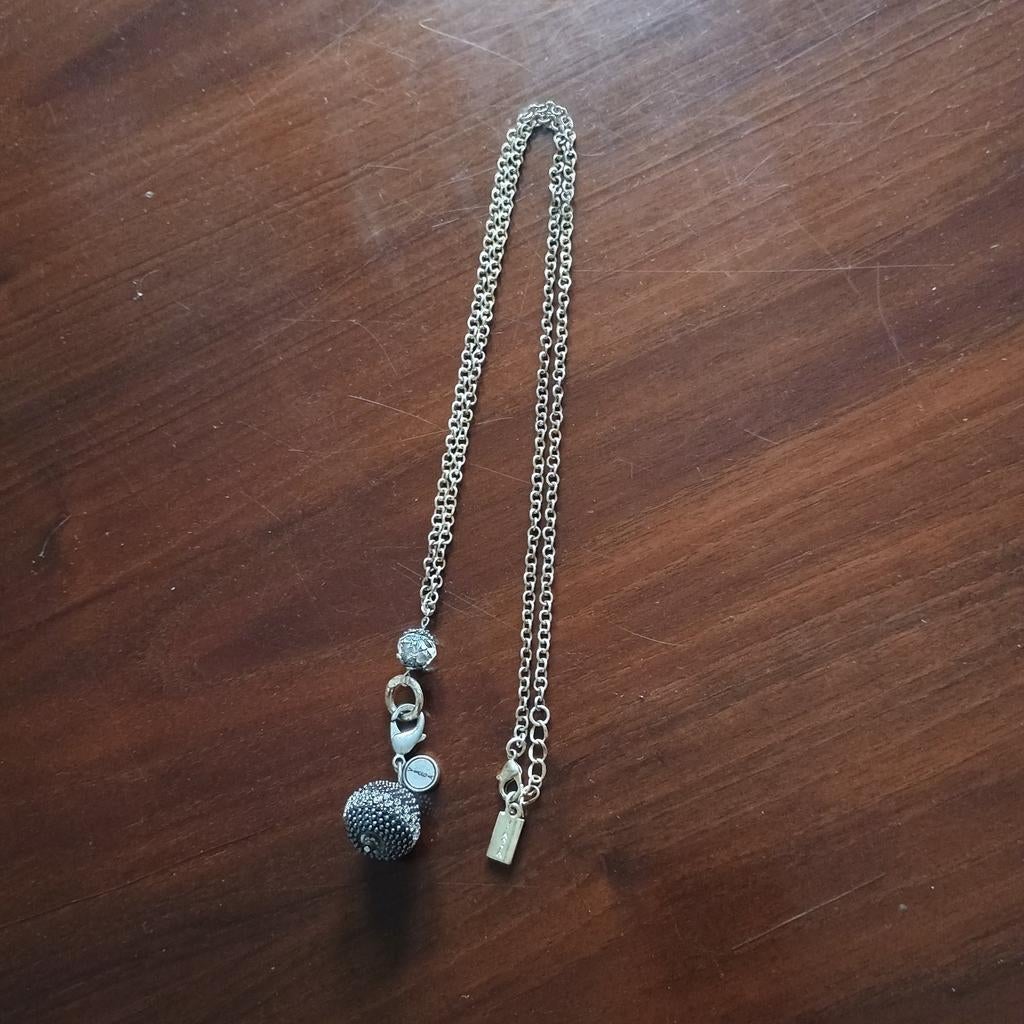 Zilverkleurige ketting met hanger, Gebruikt, Ophalen of Verzenden, Zilver, Overige materialen