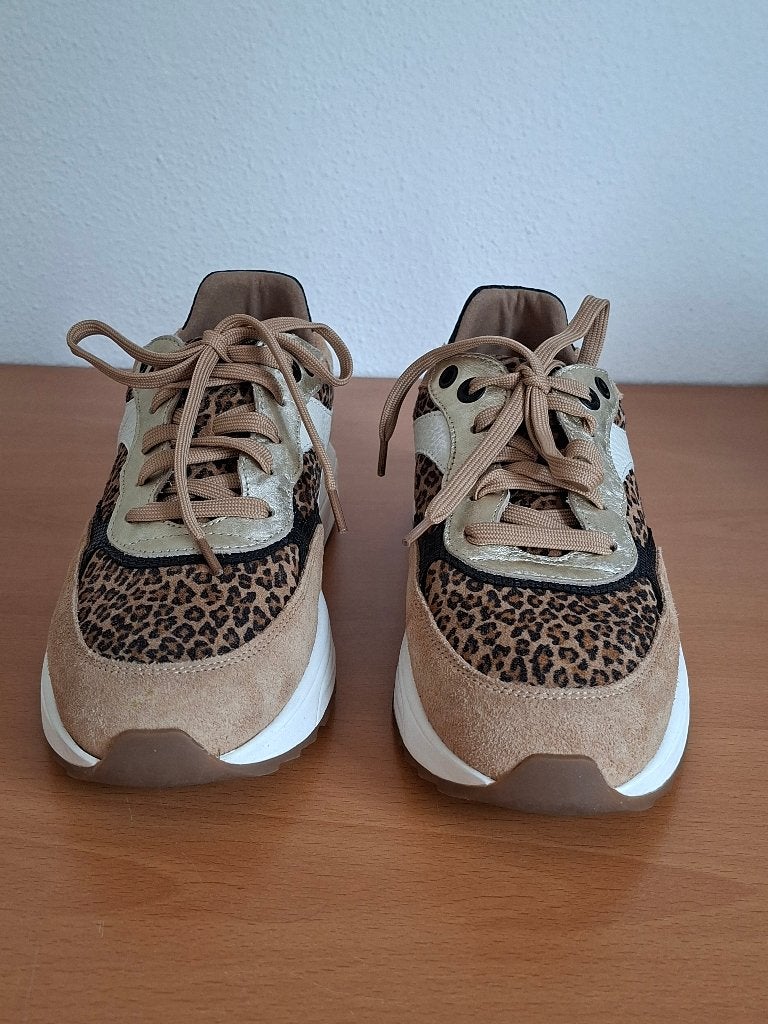 NIEUW X-sensible Ponte Vecchio maat 38, Xsensible, Beige, Nieuw, Ophalen of Verzenden