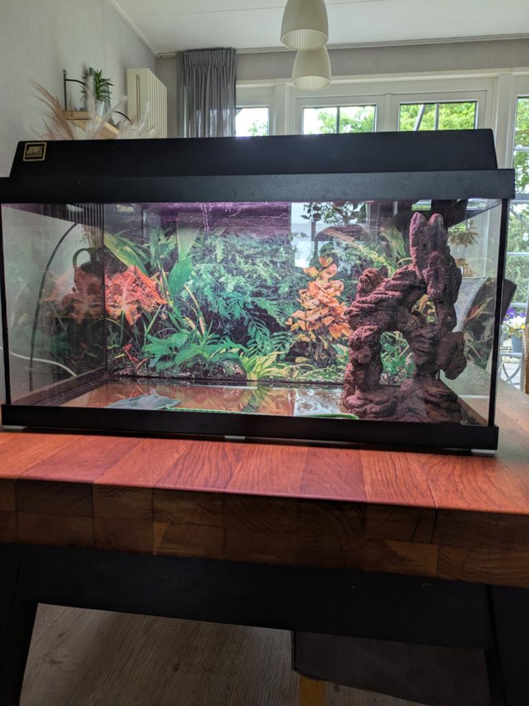 Mooi aquarium  juwel, Ophalen of Verzenden, Zo goed als nieuw, Leeg aquarium