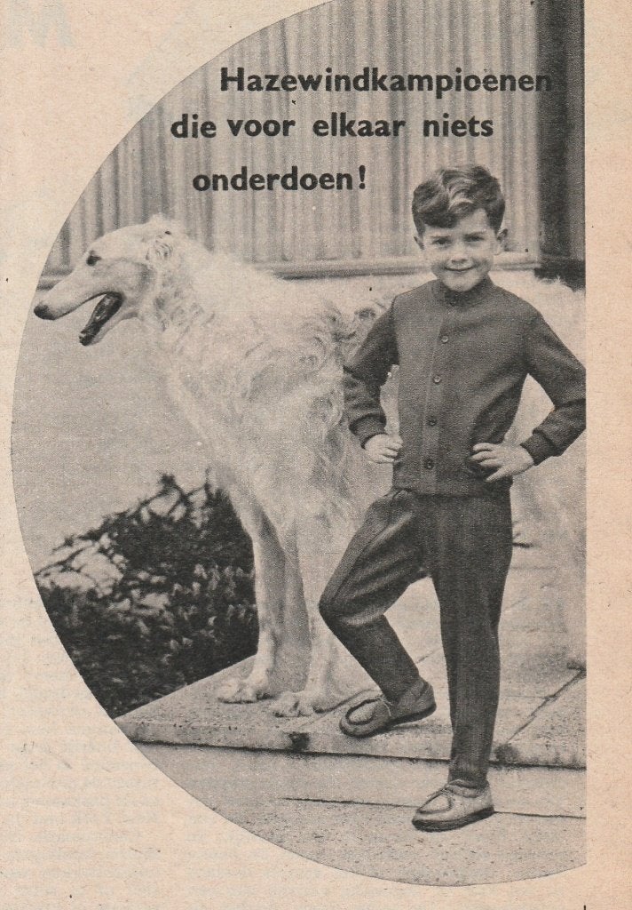 Retro reclame 1958 Hazewind jongensmode jongetje met hond, Verzenden, Overige typen