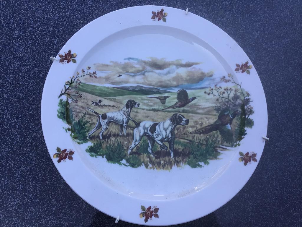 Mooi wandbord van Royal Schwabap., Antiek en Kunst, Antiek | Wandborden en Tegels, Ophalen