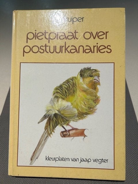 Pietpraat over postuurkanaries, Ophalen of Verzenden, Zo goed als nieuw, Vogels