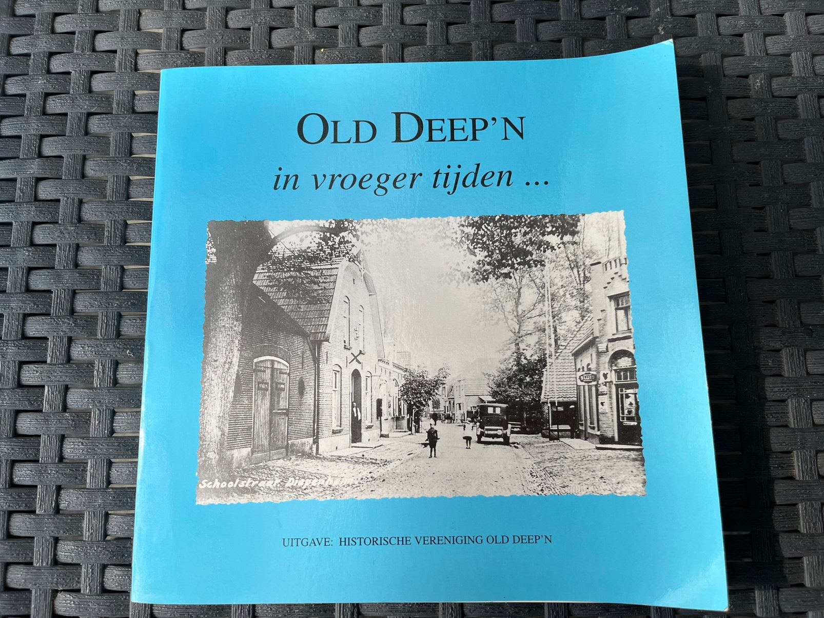 Oud Diepenheim, Ophalen of Verzenden, 19e eeuw, Gelezen