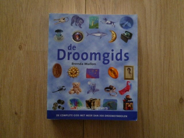 Brenda Mallon - De droomgids, Ophalen of Verzenden, Zo goed als nieuw, Overige onderwerpen, Achtergrond en Informatie