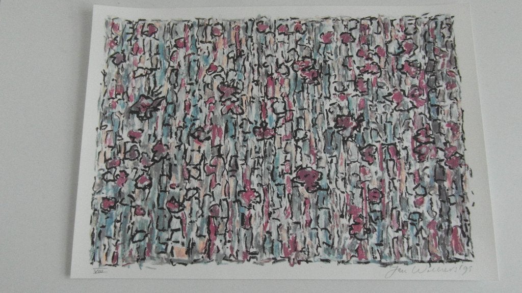 JAN WOLKERS ; gesigneerde zeefdruk/foto/gedicht/boek, Antiek en Kunst, Kunst | Litho's en Zeefdrukken, Gesigneerd, Ophalen of Verzenden