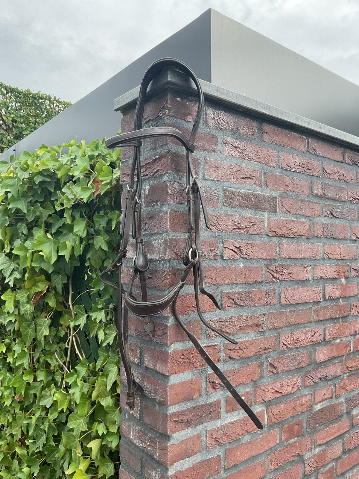 Bruin lederen hoofdstel, Ophalen of Verzenden, Gebruikt, Full