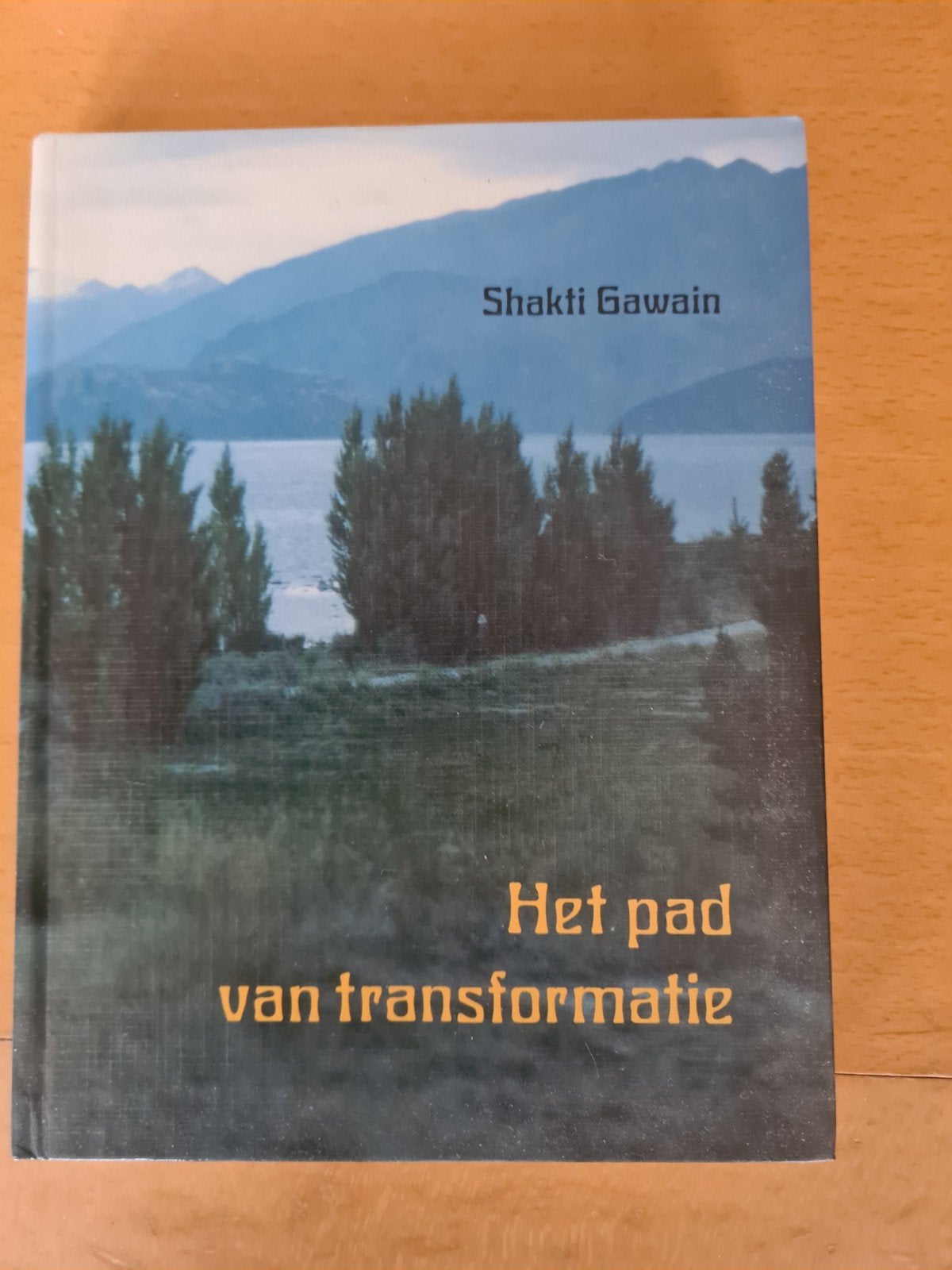 Het pad van transformatie - Shakti Gawain, Ophalen of Verzenden