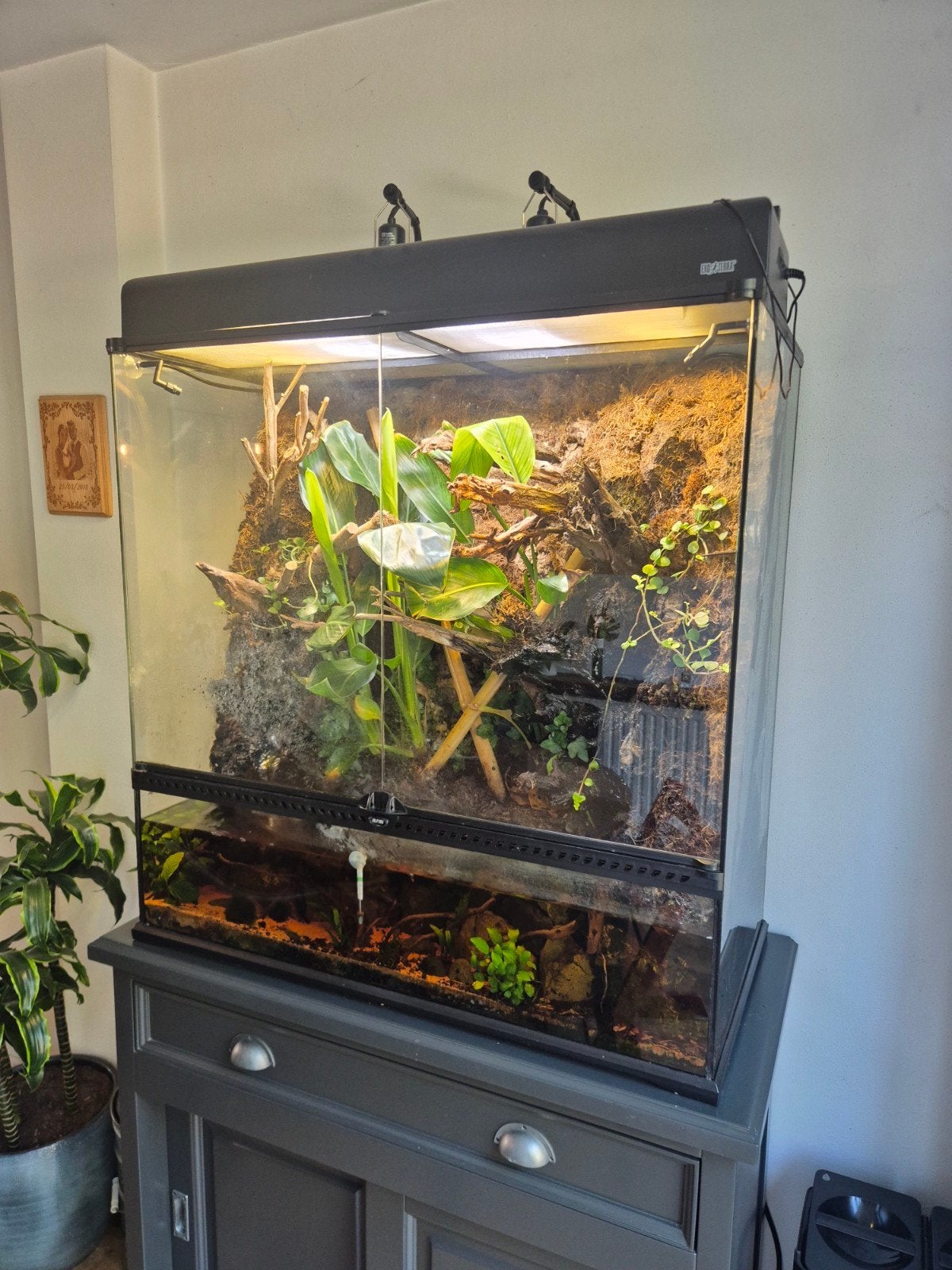 Exo Terra Paludarium 90x45x90cm incl. Veel extra's, Ophalen, Zo goed als nieuw