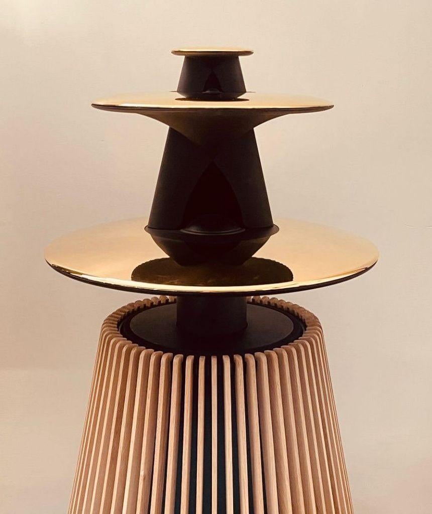 Fraaie Eiken Houten Covers Voor B&O BeoLab 5 Bang & Olufsen, Audio, Tv en Foto, Overige merken, Nieuw, Ophalen of Verzenden, 120 watt of meer