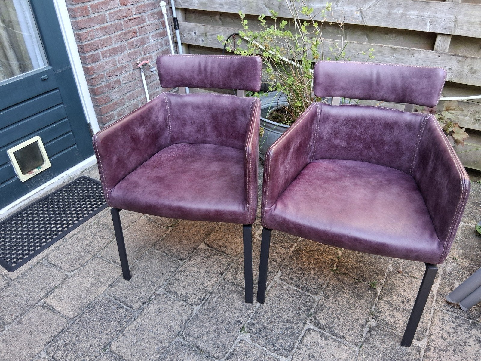ROLF BENZ FAUTEUIL (2 stuks), Ophalen, 75 tot 100 cm, 50 tot 75 cm