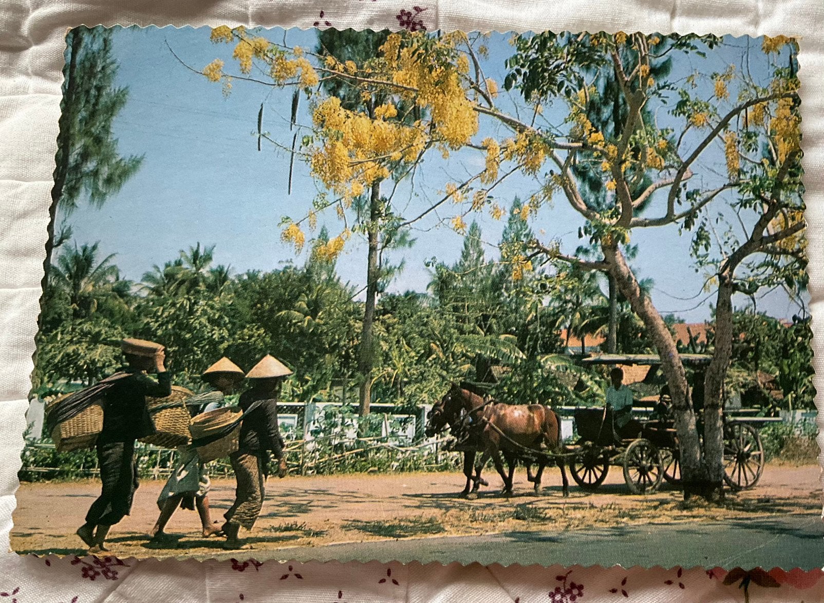Indonesië, centraal Java, paarden, Verzamelen, Ophalen of Verzenden, 1960 tot 1980, Buiten Europa