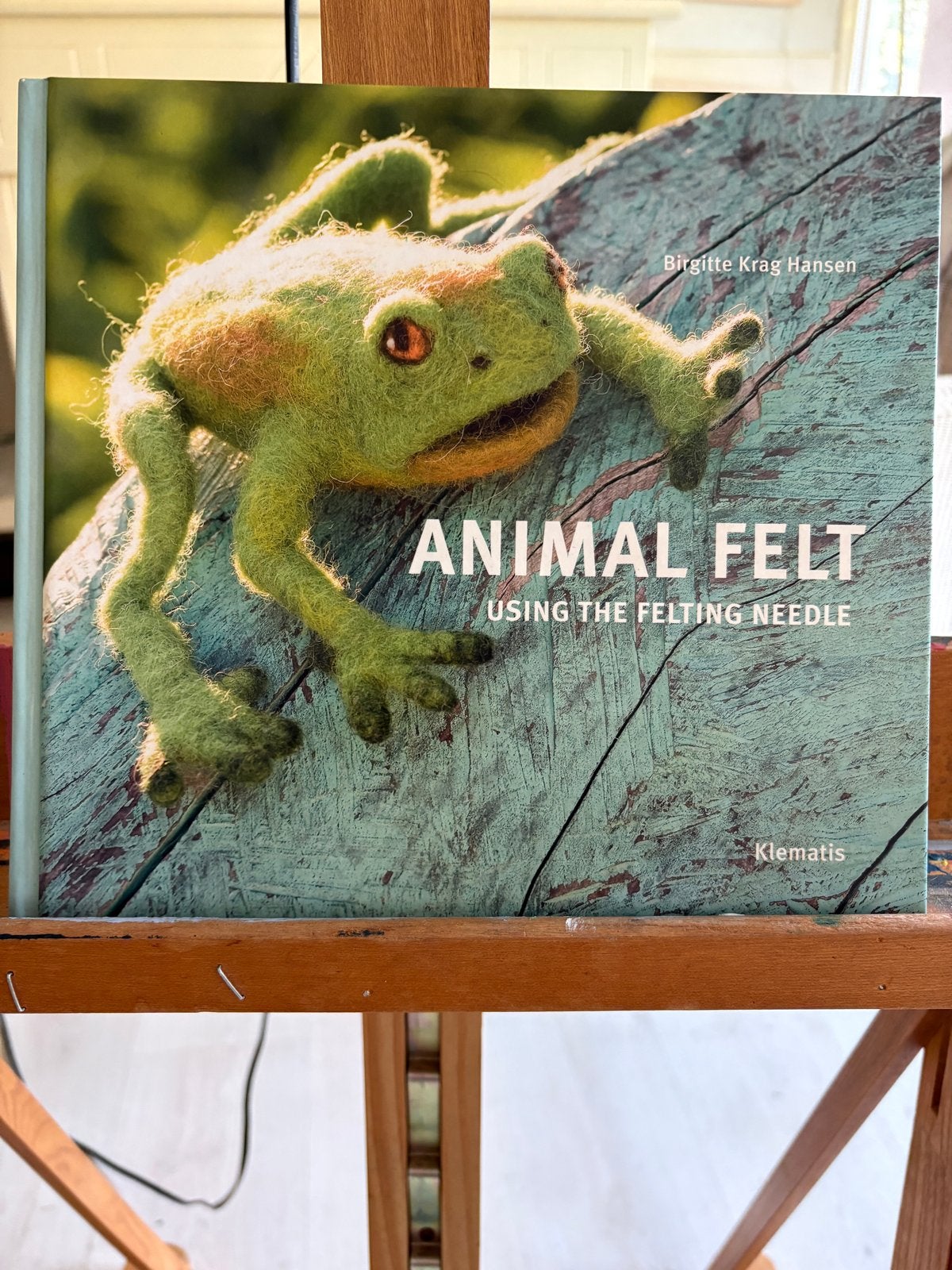 Animal Felt: Naaldvilten voor Beginners en Gevorderden, Ophalen of Verzenden, Zo goed als nieuw, Overige onderwerpen, Geschikt voor kinderen