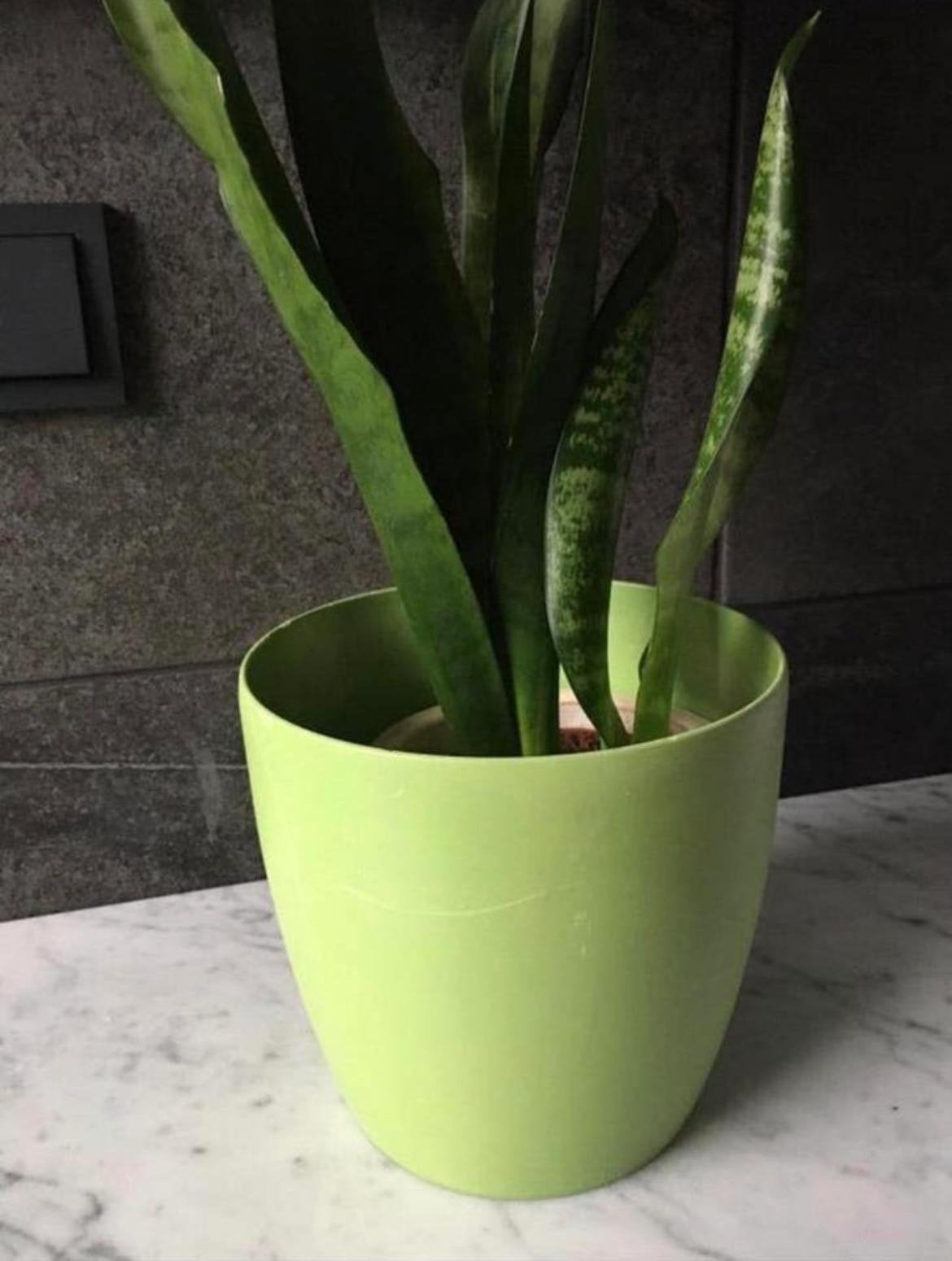 Mooie Elho kunststof limegroene bloempot voor binnen, Tuin en Terras, Ophalen, Kunststof, Gebruikt, Rond